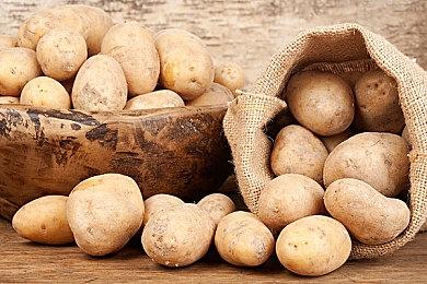 恐怖新作《The Tower on the Borderland》下月发售